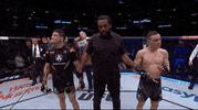Mixed Martial Arts Sport GIF by UFC