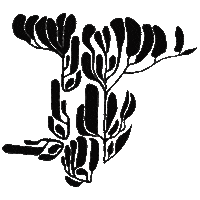 Organic Beauty Sticker by Absolution