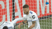 Happy Celebration GIF by MolaTV