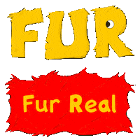 For Real Cat Sticker by Josera petfood