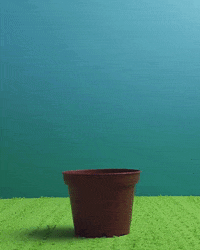 GIF by cintascotch
