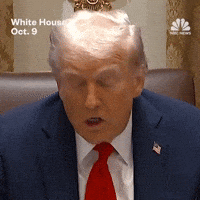 Donald Trump President GIF by Respective