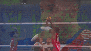 Point Wall GIF by Volleyball World