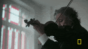 GIF by National Geographic Channel