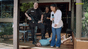 Fabio Porchat Love GIF by Porta Dos Fundos