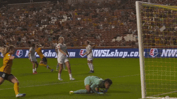 rslmarketing nwsl national womens soccer league goal celebration becky sauerbrunn GIF
