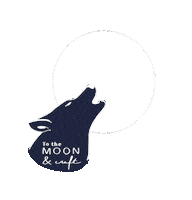 To The Moon Sticker