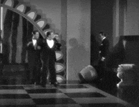rudolph valentino cobra GIF by Maudit