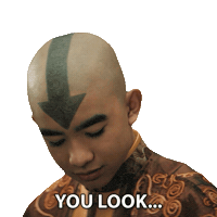 You Look Nice Avatar The Last Airbender Sticker by NETFLIX