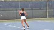 Celebrate Rice University GIF by Rice Owls