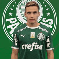 Palmeiras soccer eye futebol blink GIF