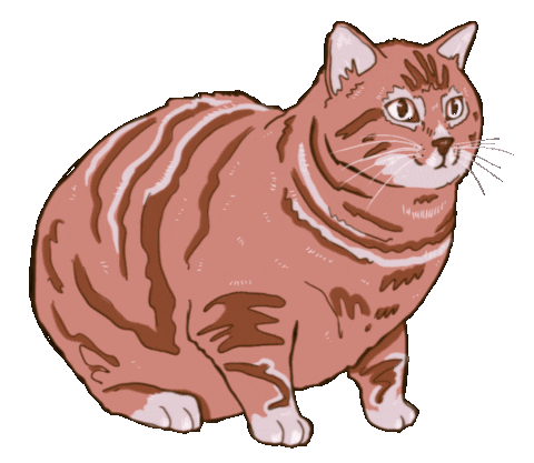 milario cat excited pink red Sticker