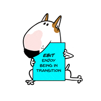 Rafaelmantesso Ebit GIF by Jimmy the Bull