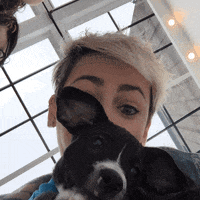 puppy omg GIF by Julieee Logan