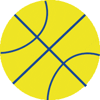 BG_Dornbirn sport basketball target vorarlberg Sticker