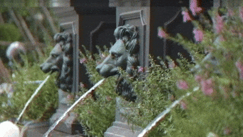 Fancy Fountains, Neat