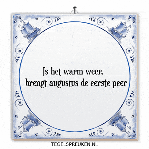 Nl Vakantie GIF by Tegelspreuken.nl