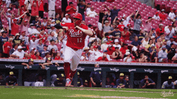 Celebration Baseball GIF by Cincinnati Reds
