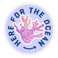Sustainability Coral Sticker by World Surf League