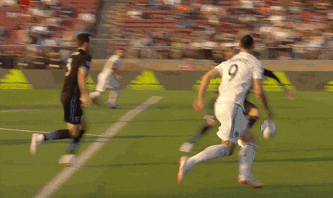 sport goal GIF by Major League Soccer