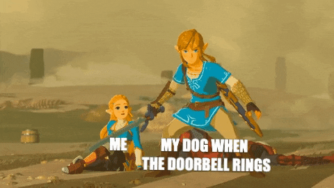 legend of zelda dogs GIF by Mars @ GIPHY