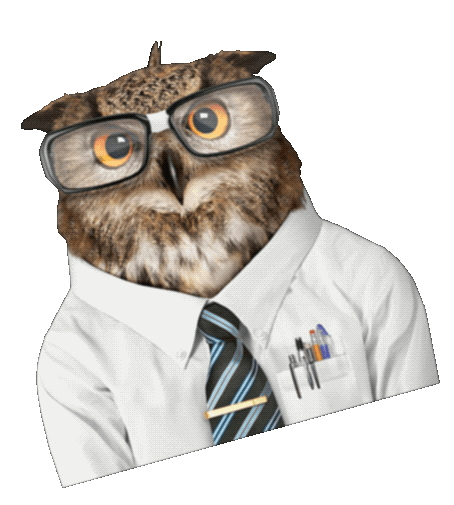 Owl Sticker by Inceptia