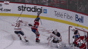 Celebrate Ice Hockey GIF by NHL
