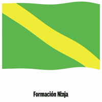 Las Palmas Flag GIF by Formación Ninja
