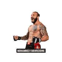 Mixed Martial Arts Mma Sticker by BRAVE Combat Federation