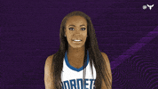 Honey Bee Dance GIF by Charlotte Hornets