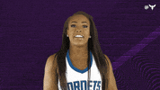 Honey Bee Dance GIF by Charlotte Hornets