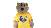 Grappling West Virginia Sticker by WVU Tech Golden Bears