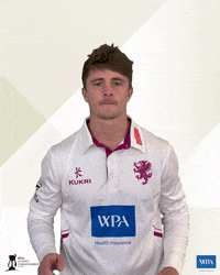 Sport Wpa GIF by Somerset County Cricket Club