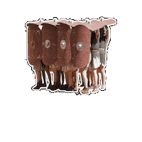 Museumparkarcheon roman shieldwall archeon romeinen Sticker