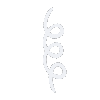 Whiteline Sticker