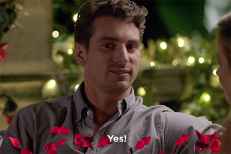 thebachelorau giphyupload the bachelor au the bachelor australia GIF