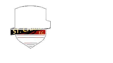 Womens Soccer Football Sticker by USL