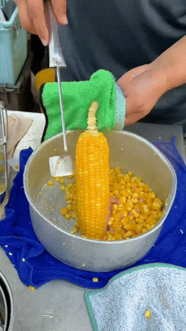 Roisse giphyupload GIF