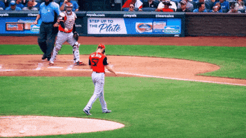 Blue Jays Baseball GIF by Toronto Blue Jays