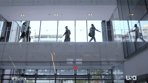 suitsusanetwork giphyupload television usa usa network GIF