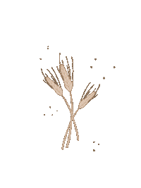Earth Wheat Sticker