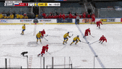 Collide Russian GIF by International Ice Hockey Federation