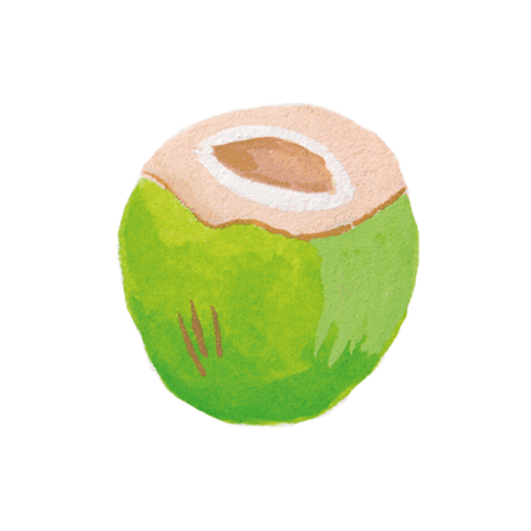 coco bali Sticker by Camille Florès