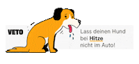 Dog Summer Sticker by veto_tierschutz