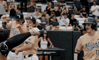 GIF by UCF Knights