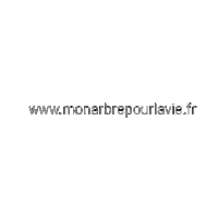 monarbrepourlavie heart life coeur merci Sticker