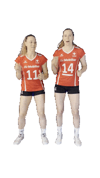 Eurovolley Swissvolley Sticker by NUCVolleyball