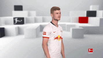 Posing Line Up GIF by Bundesliga