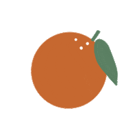 twentysevenlkld orange fruit florida citrus Sticker