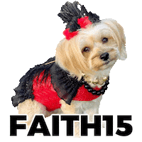 Maltese Sticker by Pimp Yo Pets